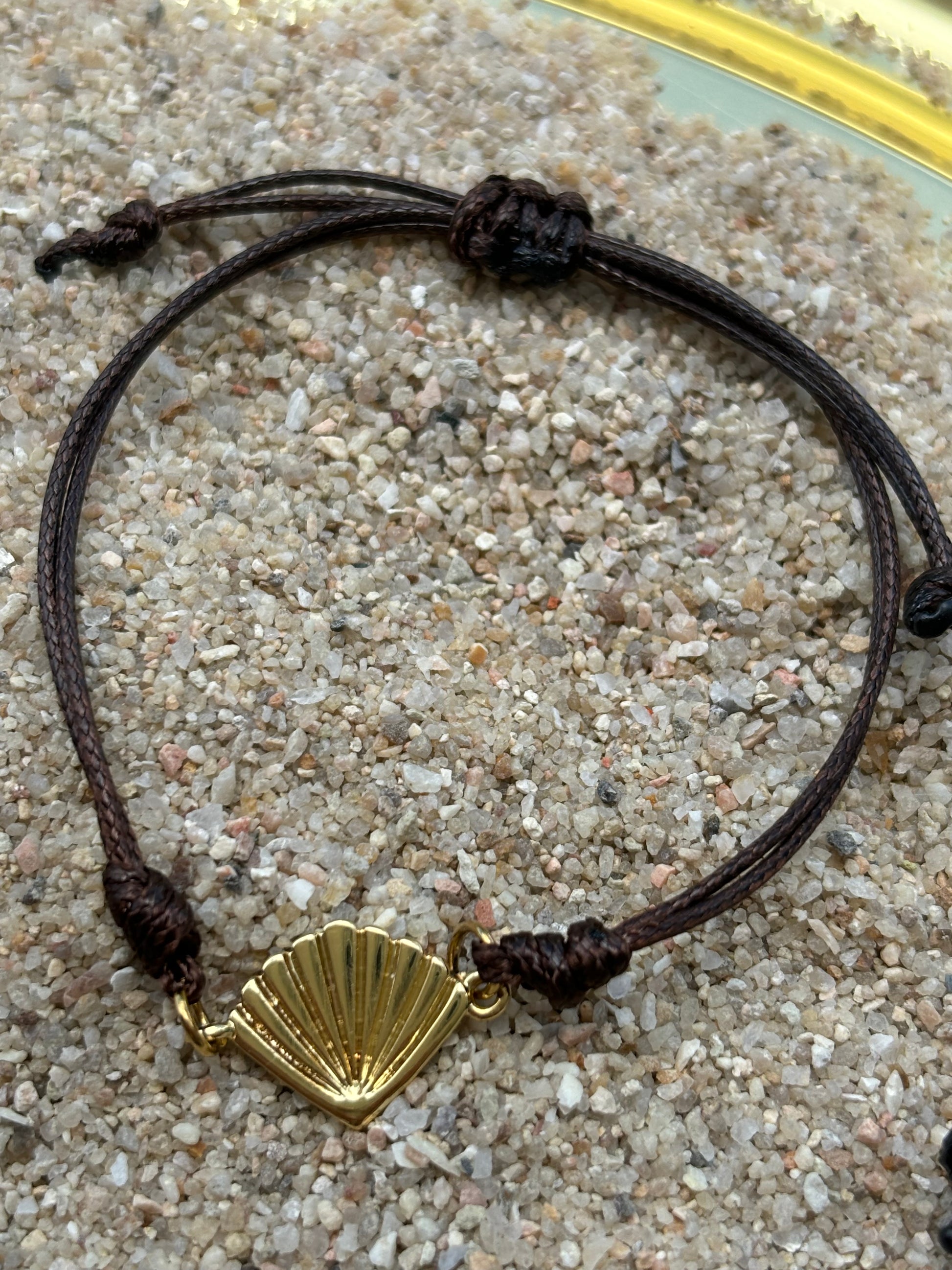 Olas del mar (concha)