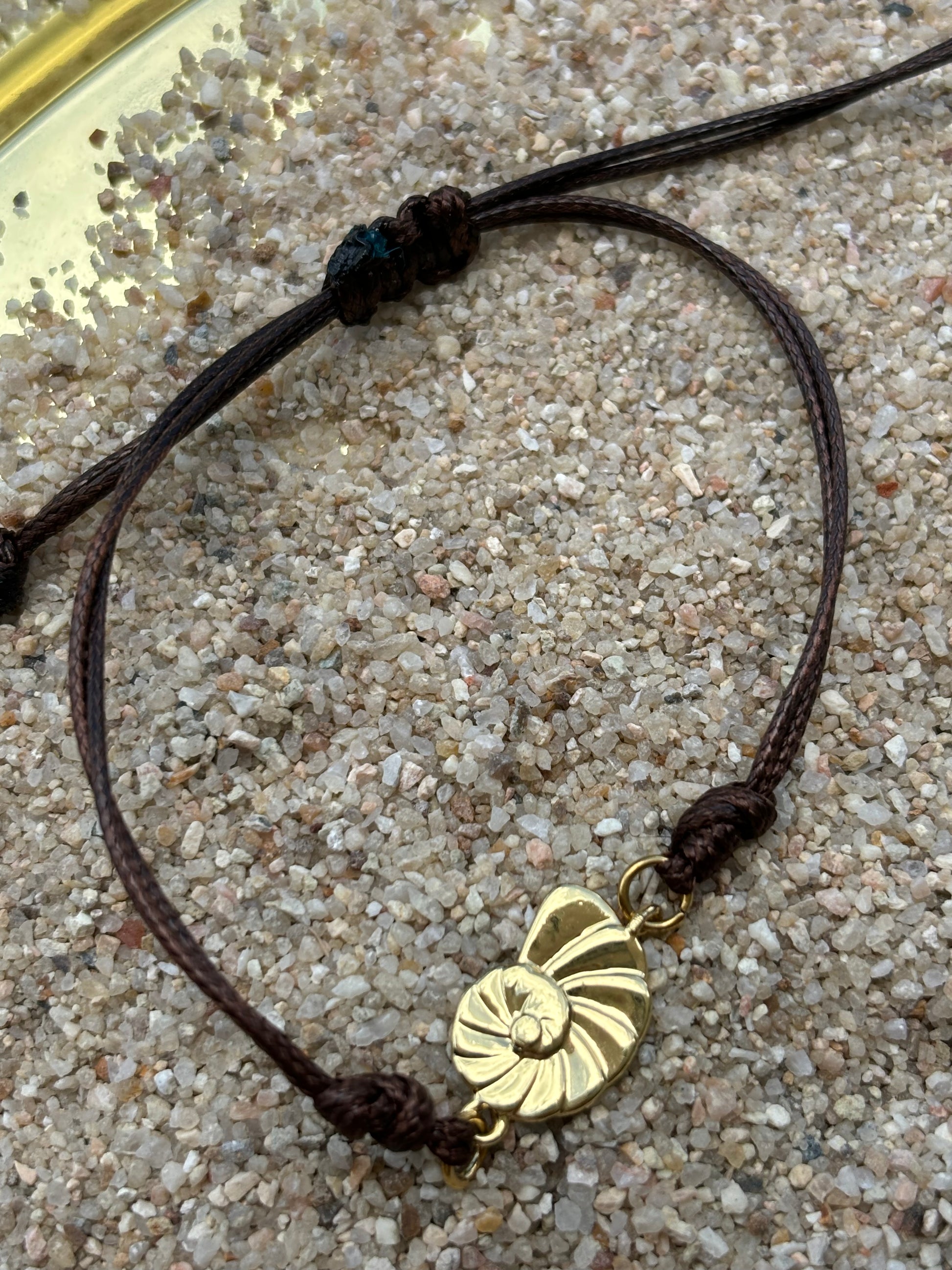 Olas del mar (caracol)