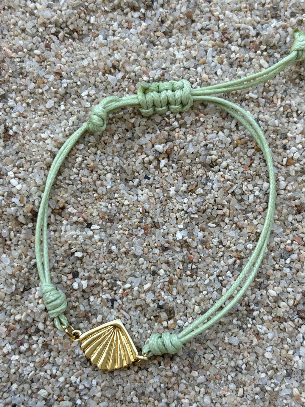 Olas del mar (concha)