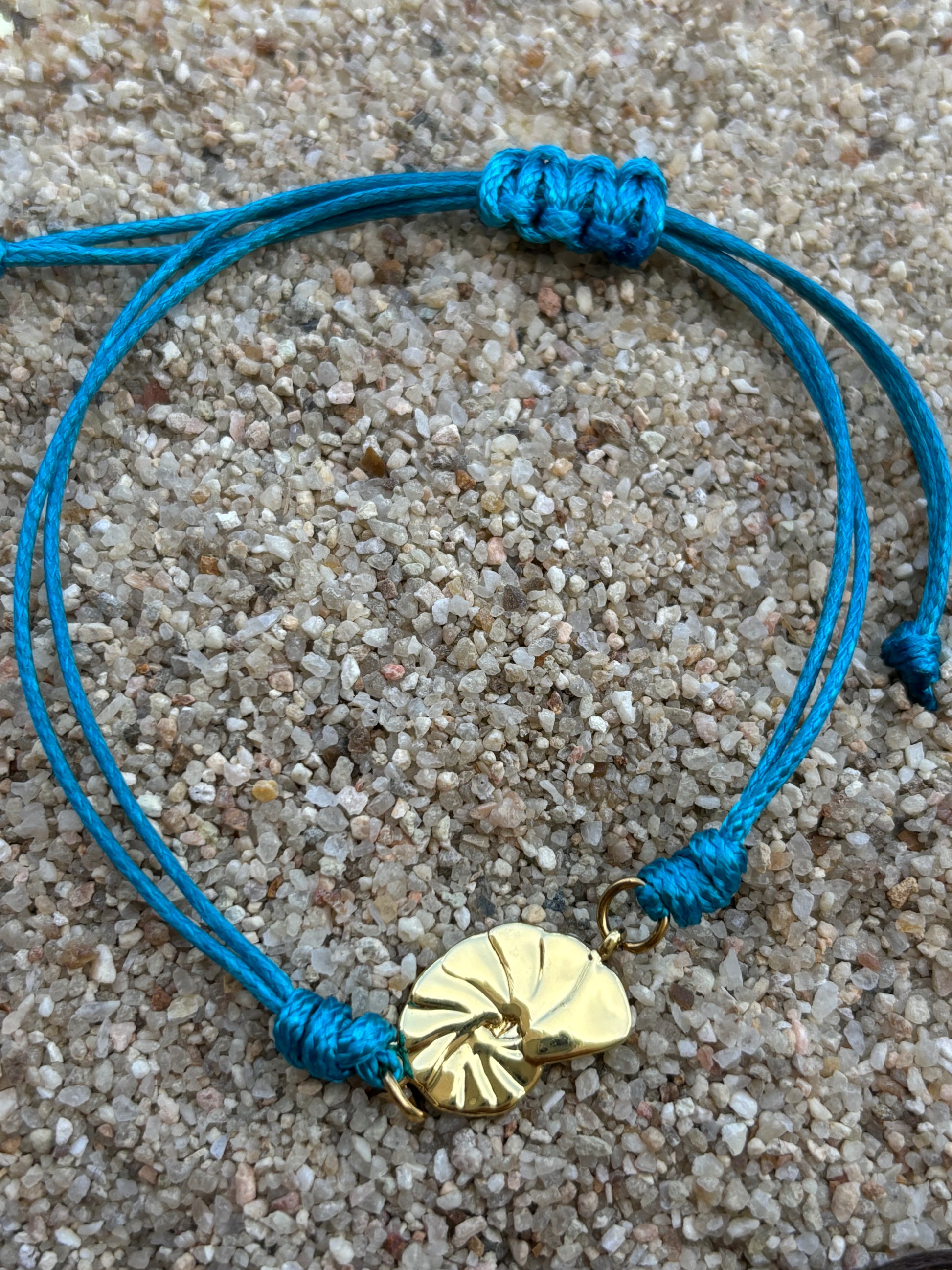 Olas del mar (caracol)