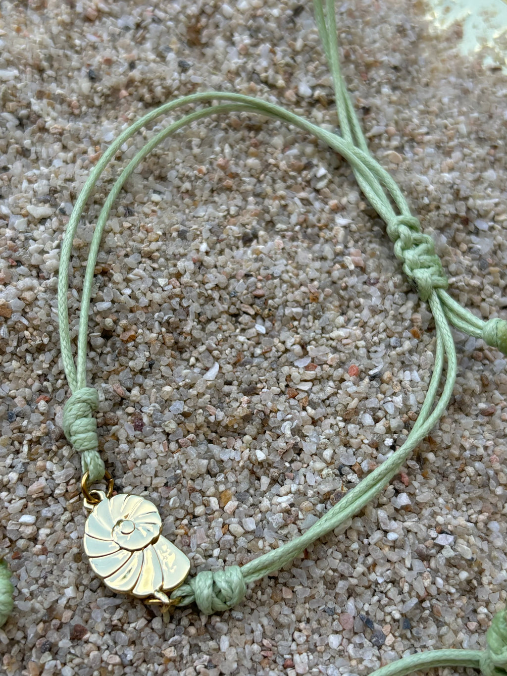 Olas del mar (caracol)