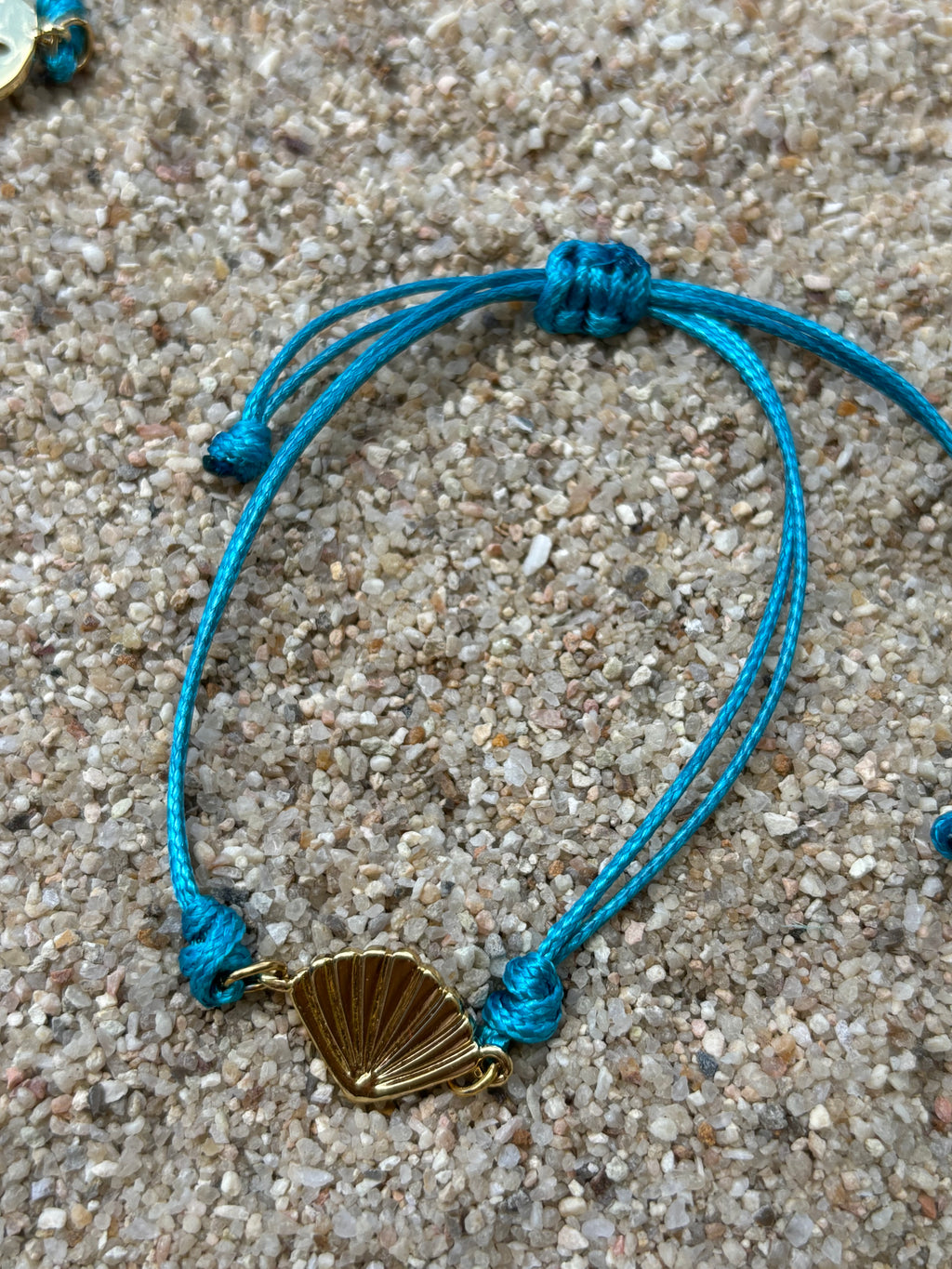 Olas del mar (concha)